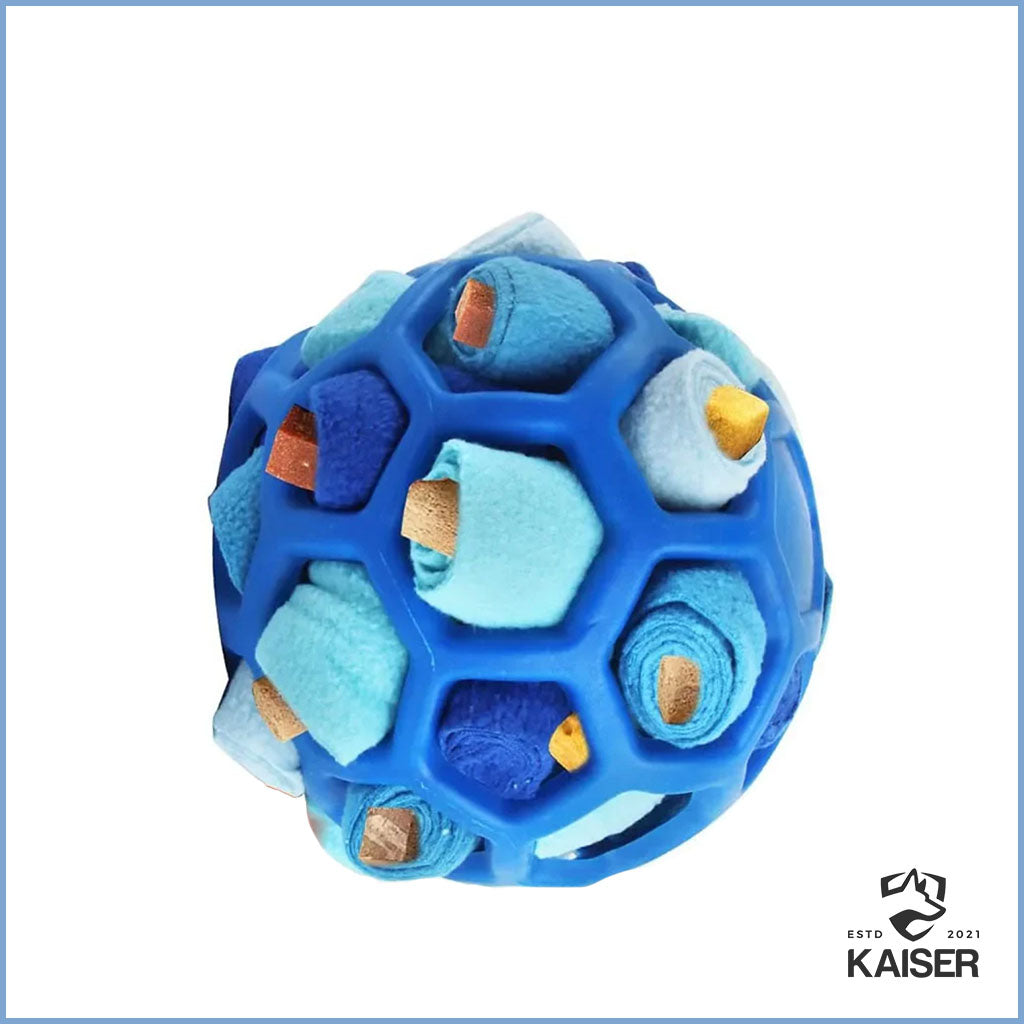 Schnüffelball Hunde blau