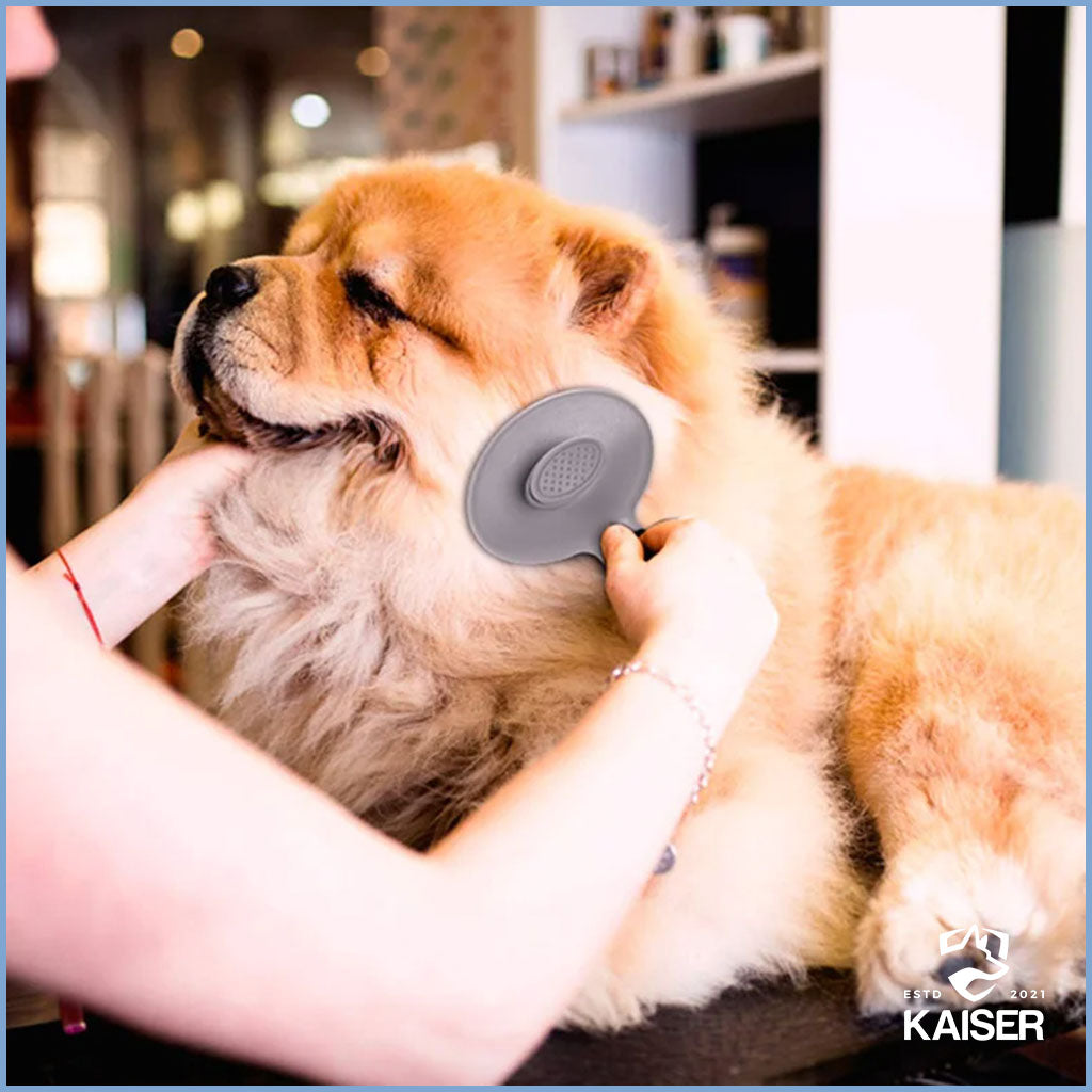 Mensch und Hund mit selbstreinigende Zupfbürste