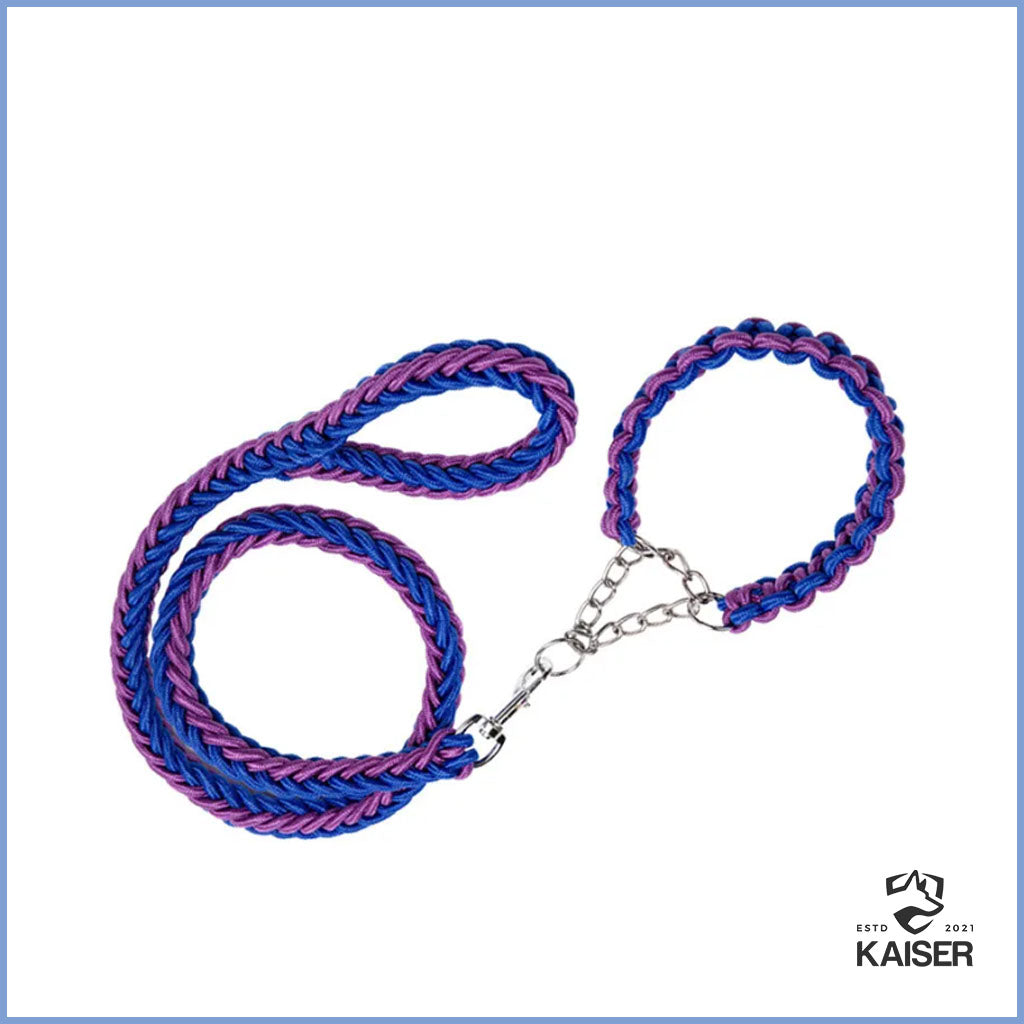 Paracord geflochtenes Hundehalsband mit Leine
