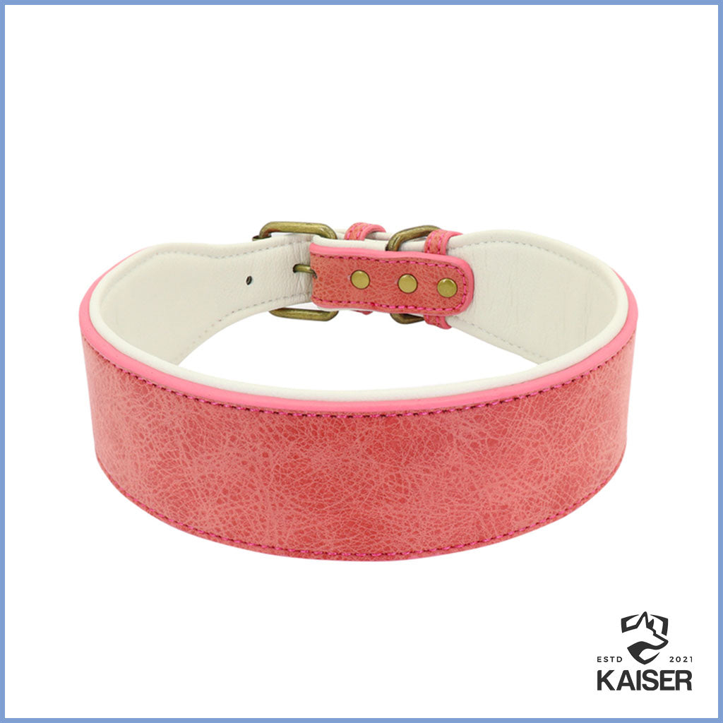 Breites Hundehalsband gepolstert in roter Farbe