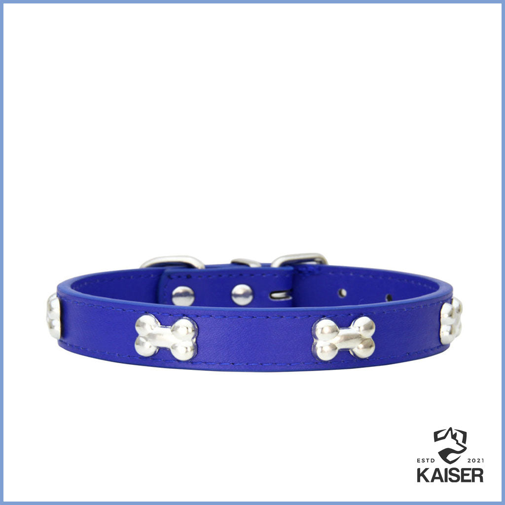 Designer Hundehalsband Blau