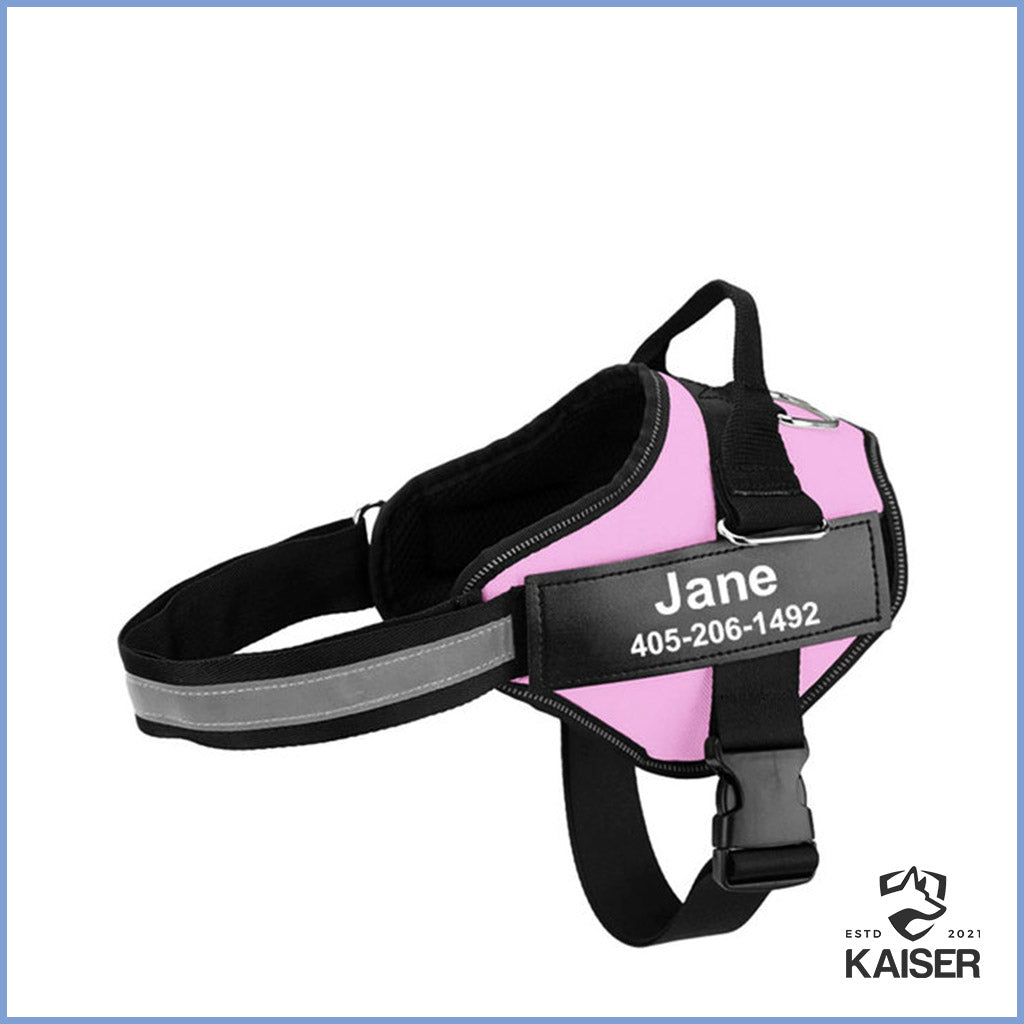 Hundegeschirr mit Namen rosa