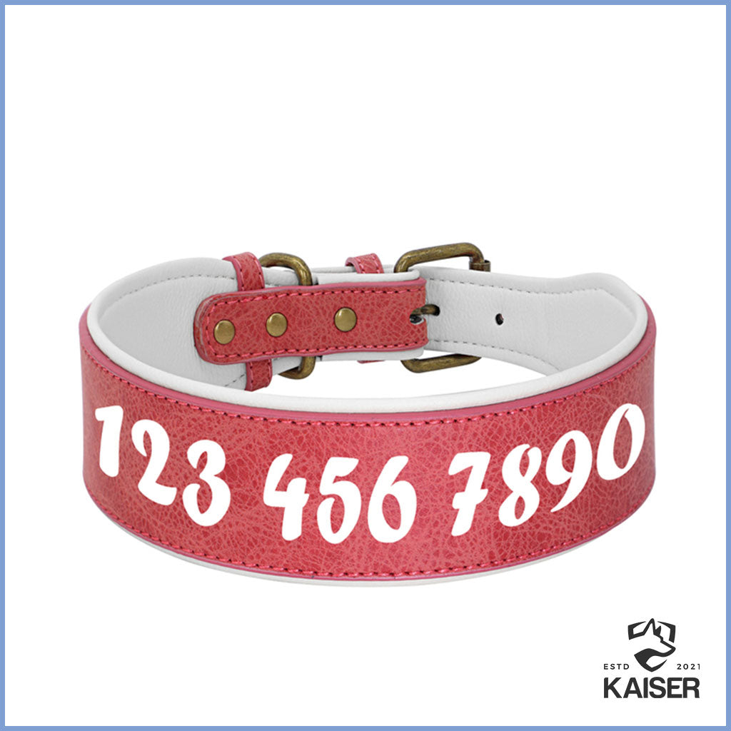 Hundehalsband Leder breit mit Namen rot