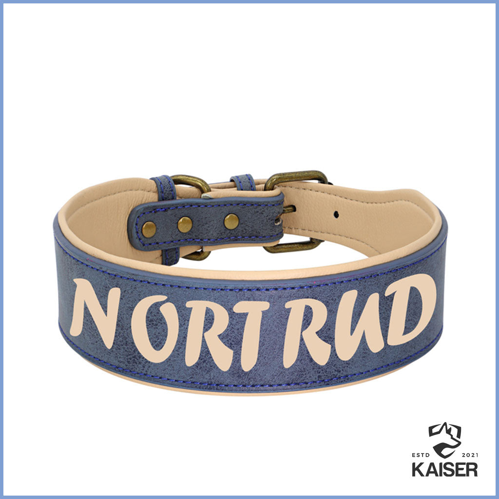 Hundehalsband Leder breit mit Namen blau