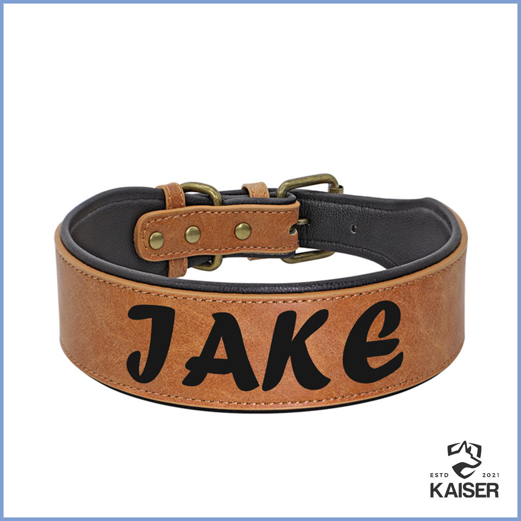 Hundehalsband Leder breit mit Namen gepolstert