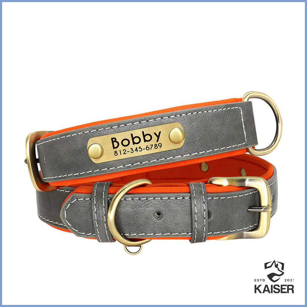 gepolstertes Hundehalsband