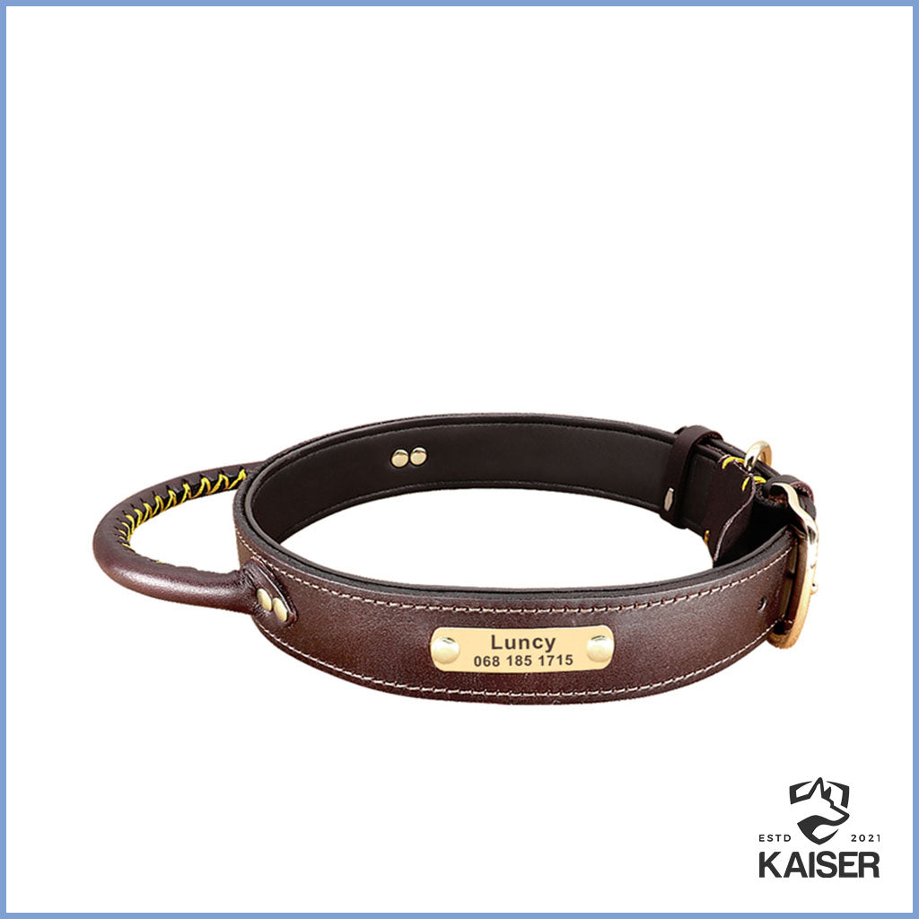 Hundehalsband mit Griff mit Namen Leder braun