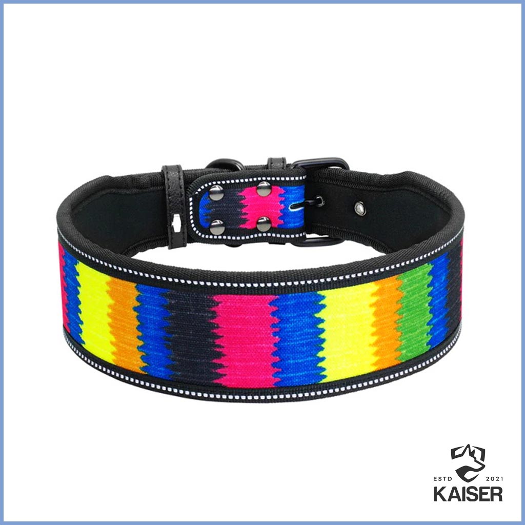 Reflektierendes Hundehalsband