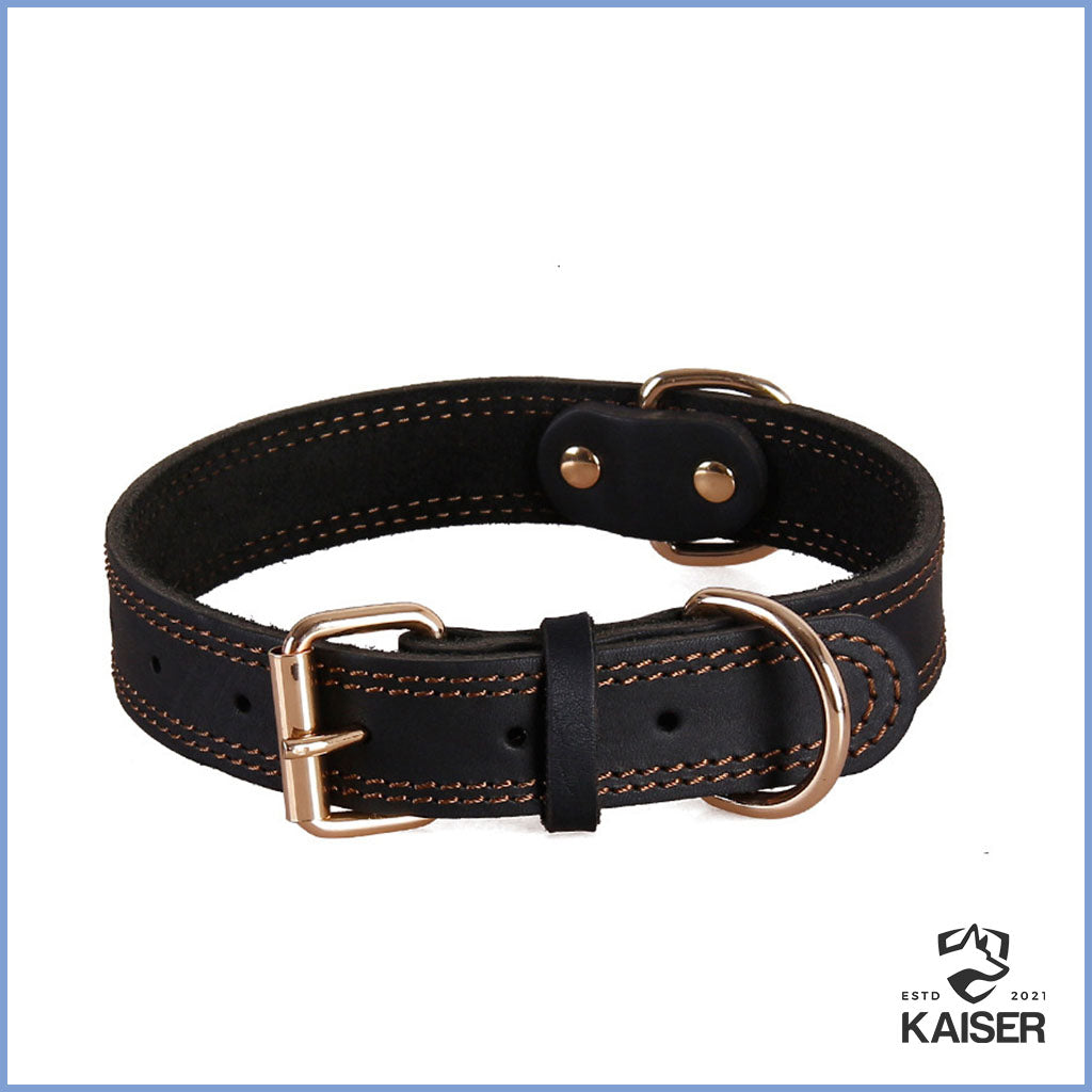 Kentucky Hundehalsband schwarz Leder