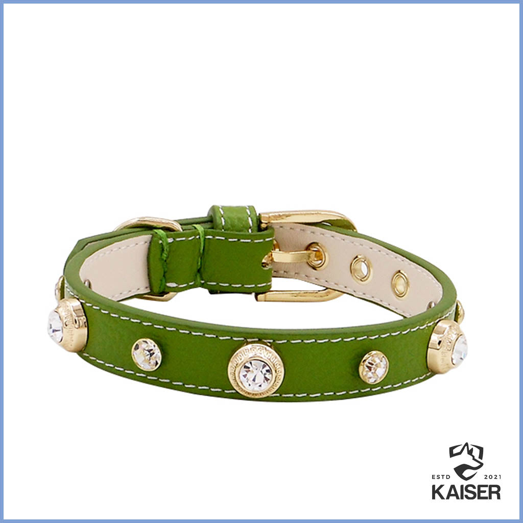 Luxus Hundehalsband Leder grün