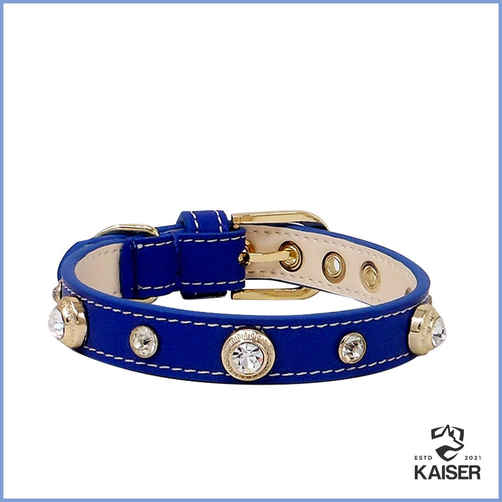 Luxus Hundehalsband Leder blau