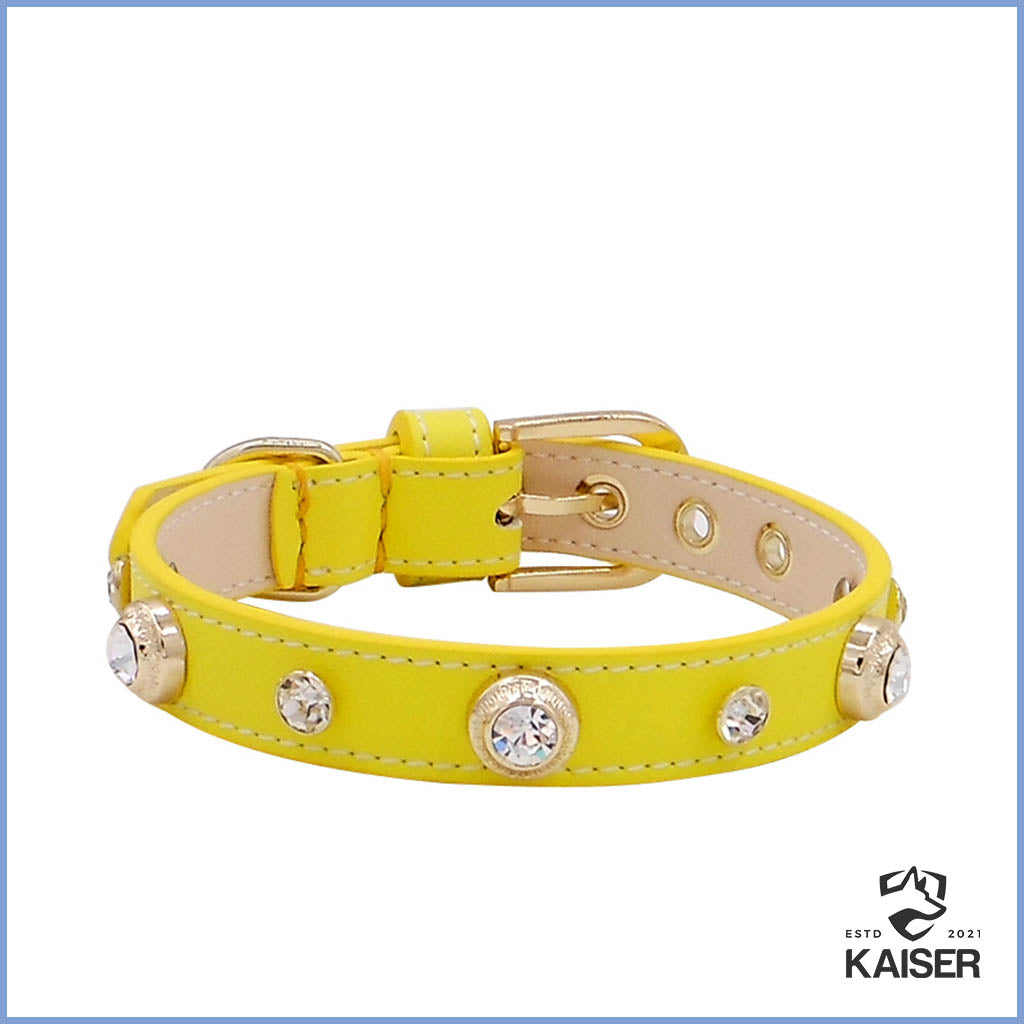 Hundehalsband gelb