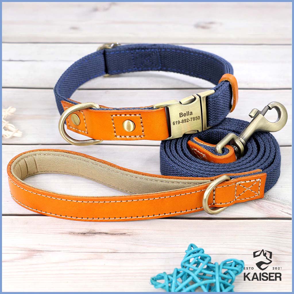Hundehalsband personalisiert, Name und Telefonnummer und Leine