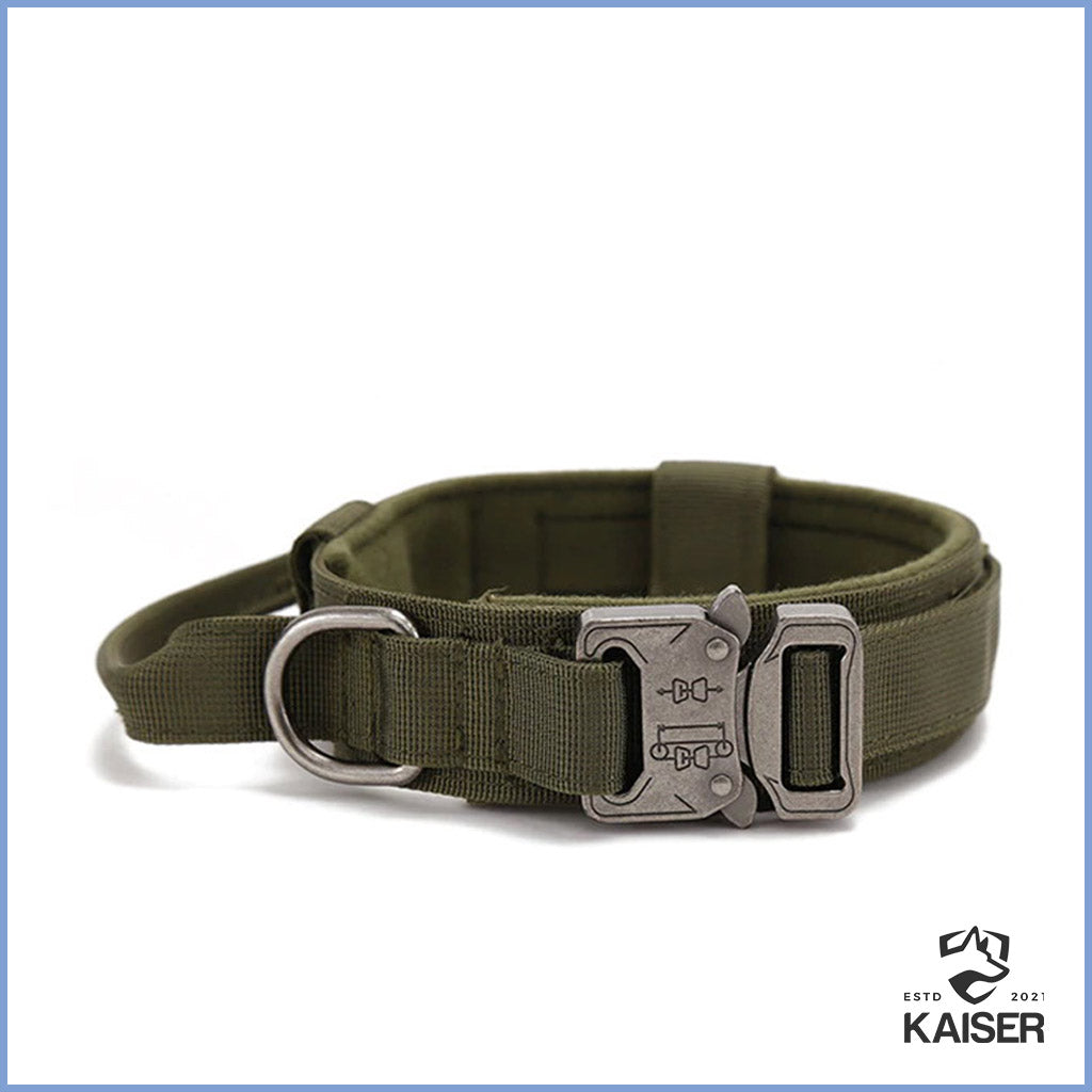 Taktisches Hundehalsband grün