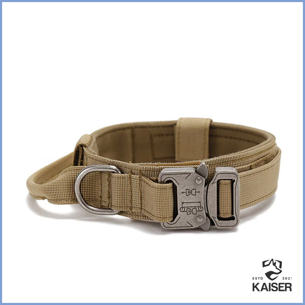 Hundehalsband taktisch