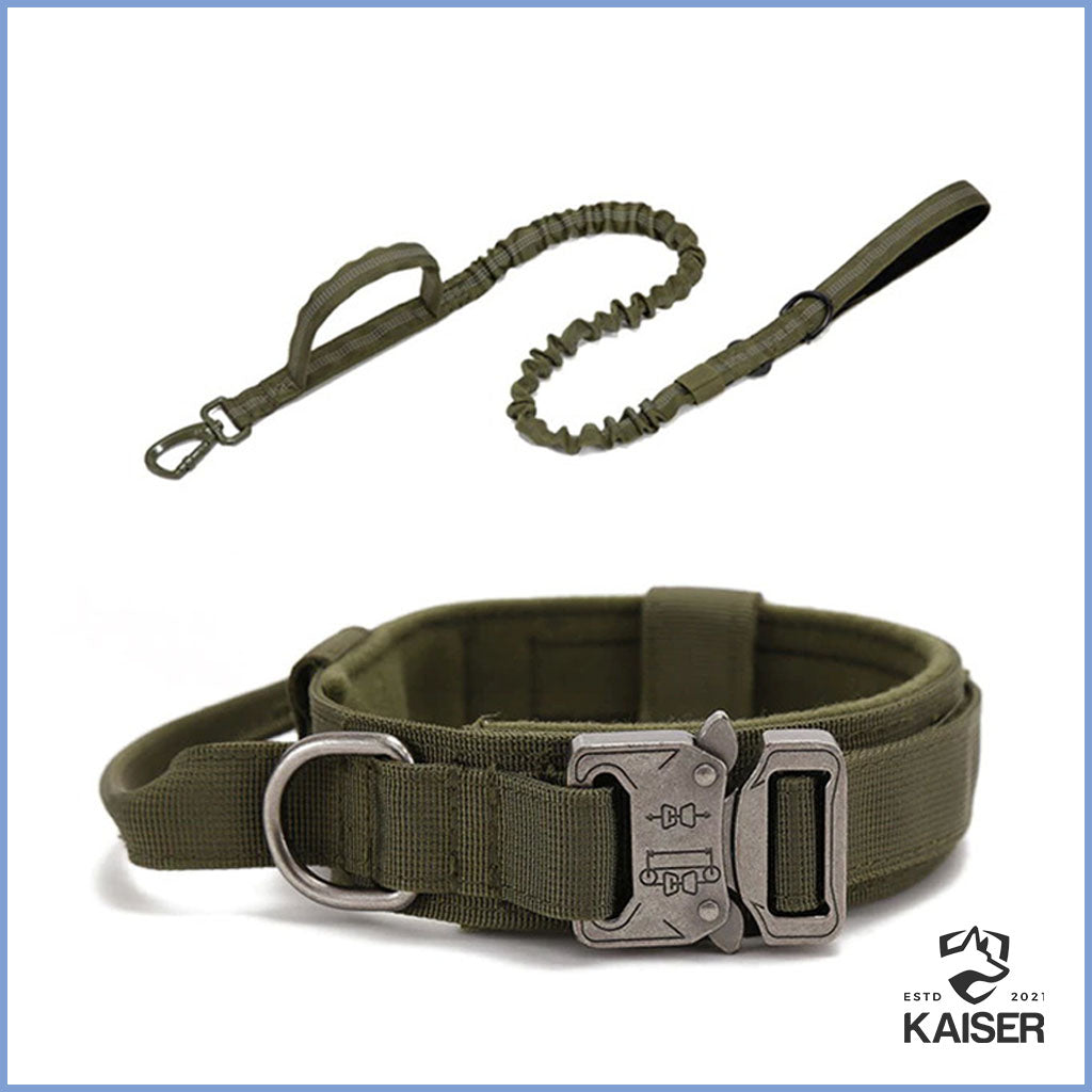 Taktisches Hundehalsband grün mit Leine