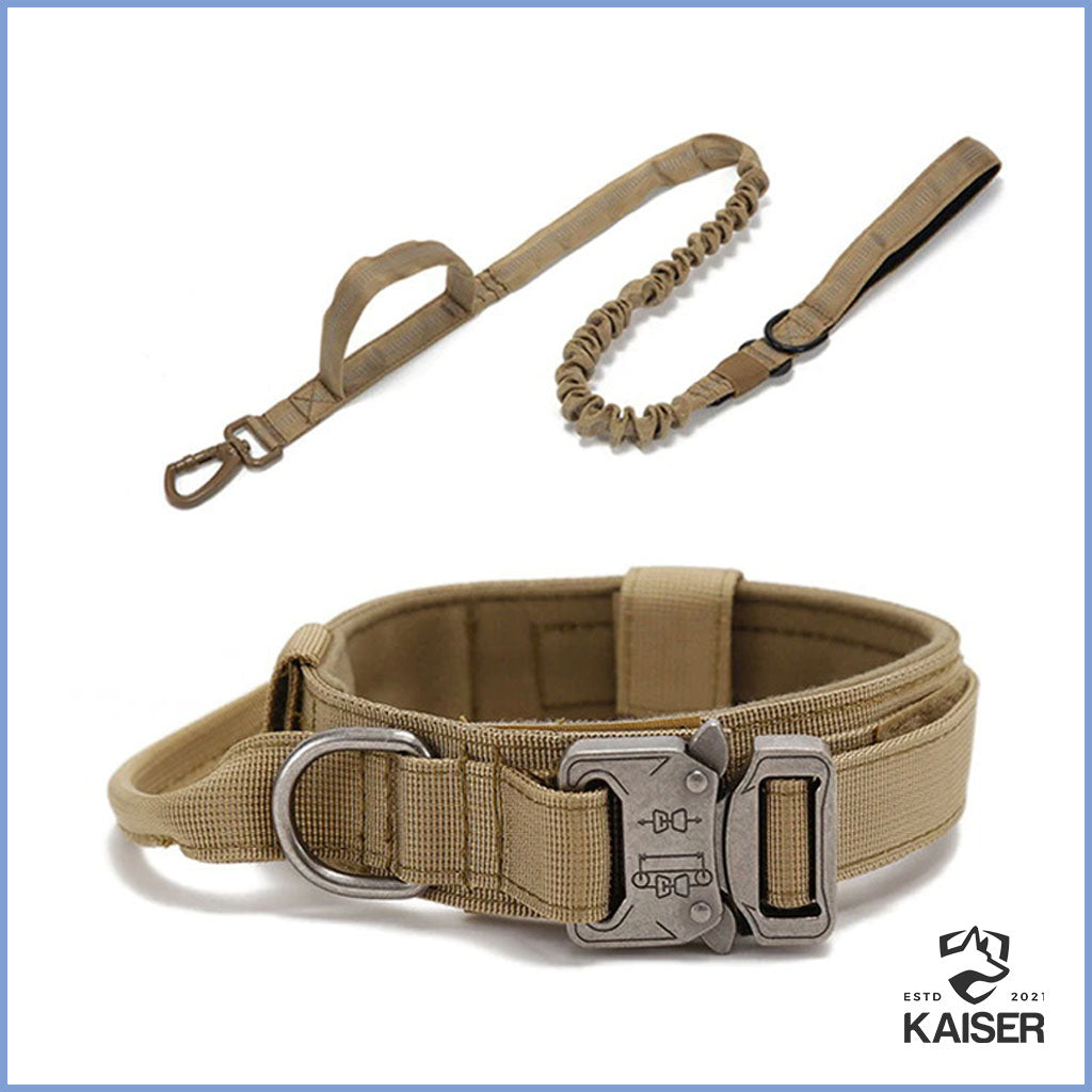 Taktisches Hundehalsband mit Leine braun