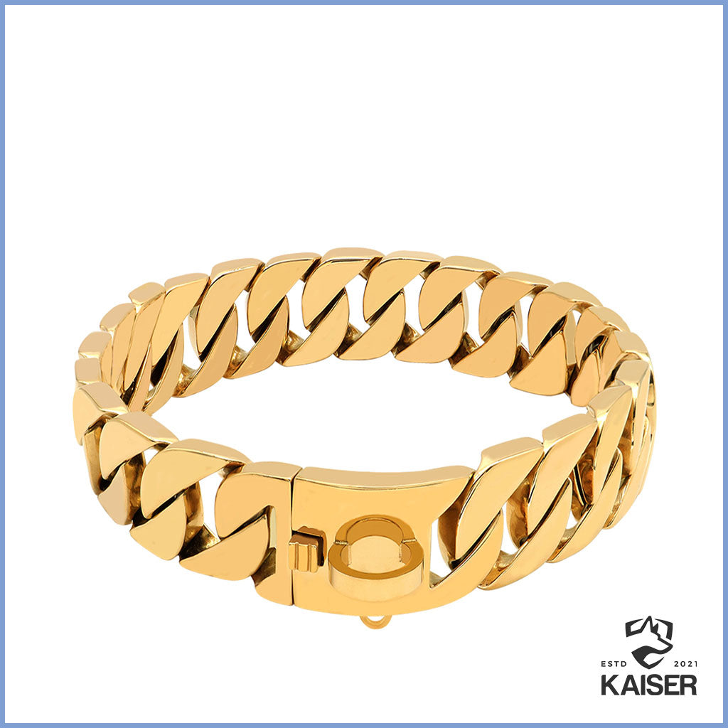 Hundehalsband grosse Hunde, Edelstahl material in Farbe Gold