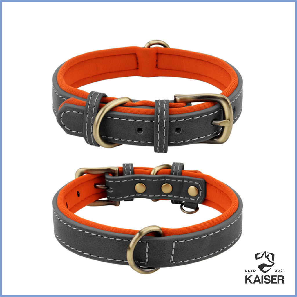 lederhalsband hund grau