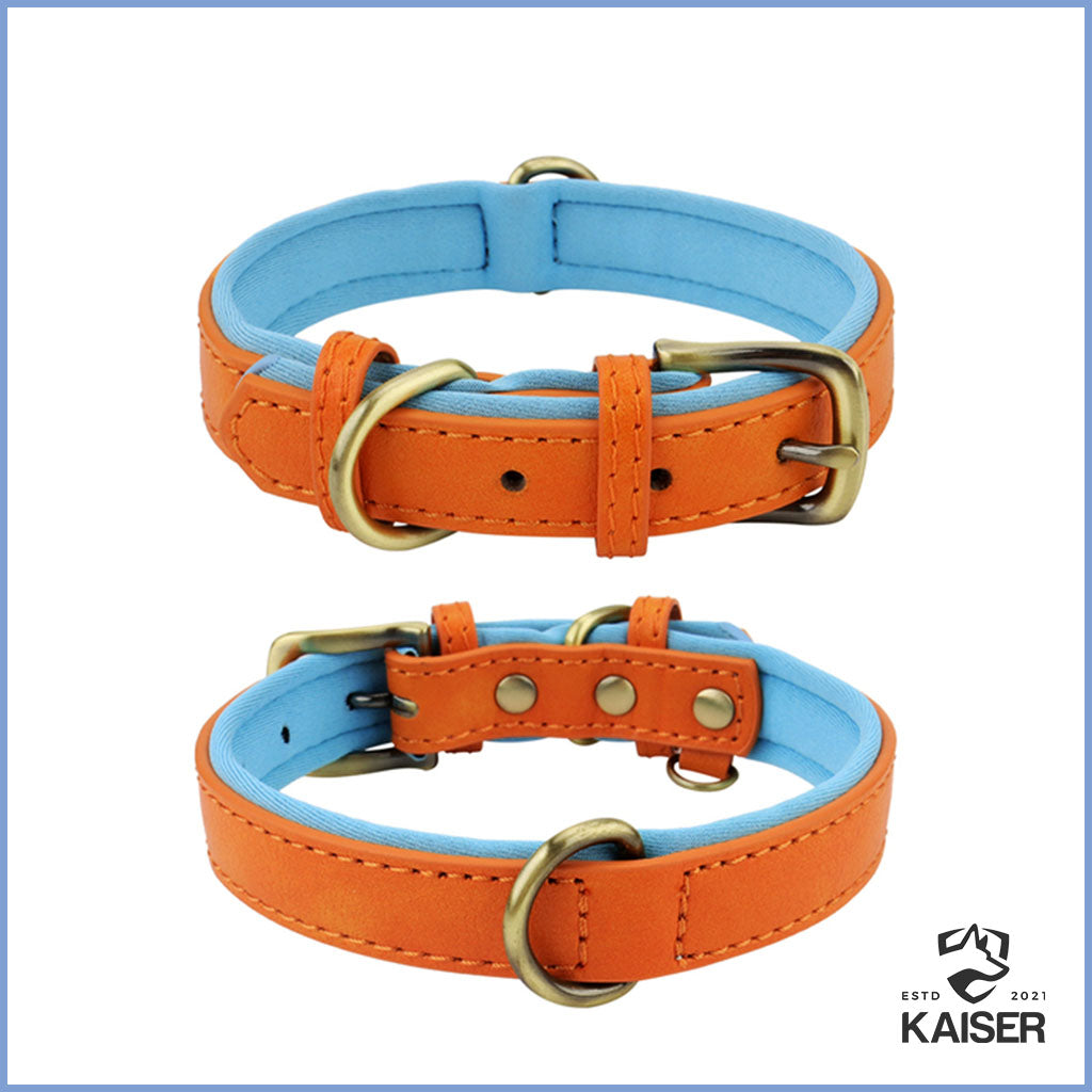 lederhalsband hund orange