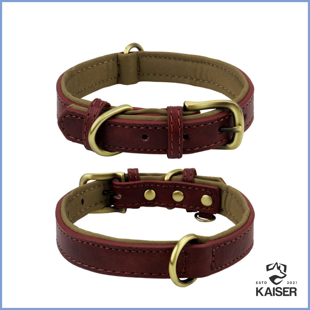 lederhalsband hund violet