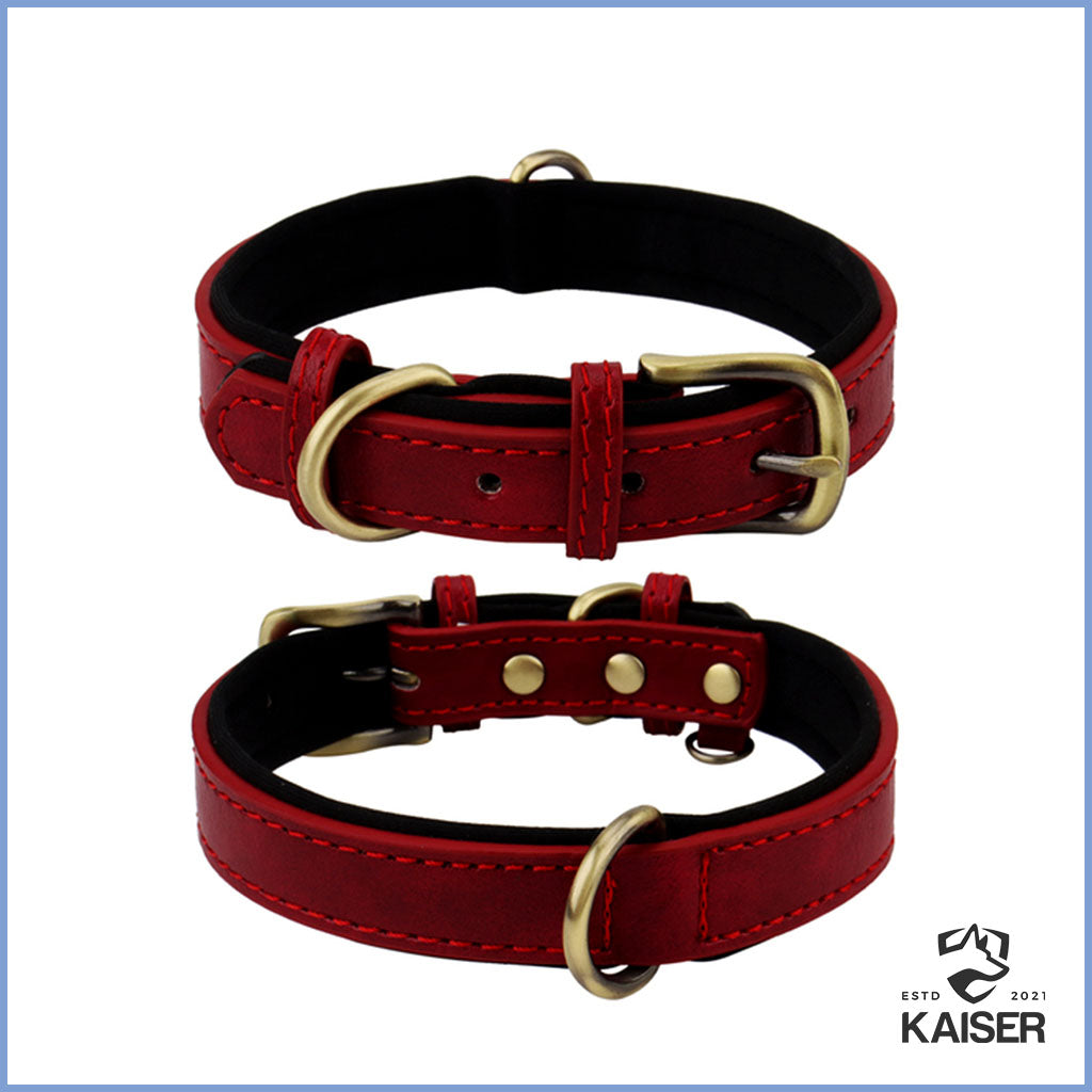 lederhalsband hund rot