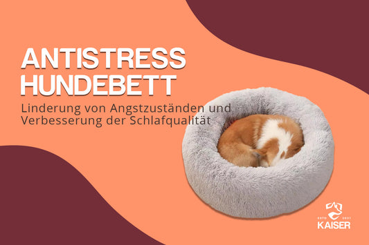 Antistress Hundebett: Stressfreies Ruhen für Ihren Vierbeiner