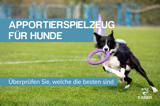 Apportierspielzeug für Hunde