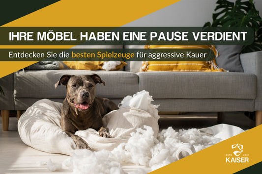 Hundespielzeug für große Hunde