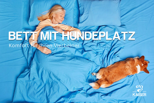 Bett mit Hundeplatz