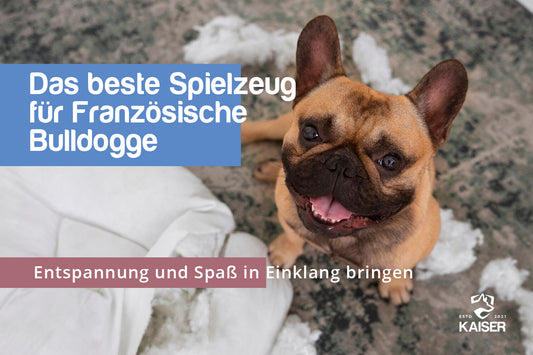 Französische Bulldogge Spielzeug