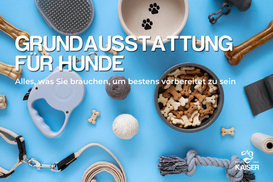 Grundausstattung Hund