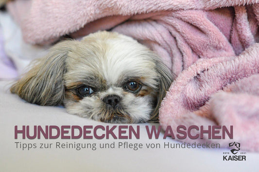 Hunde Decken waschen