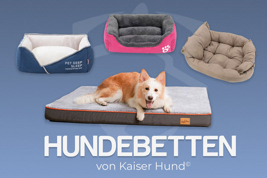 Hundebetten