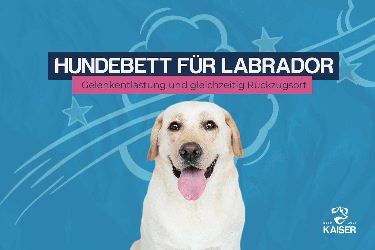größe hundebett labrador