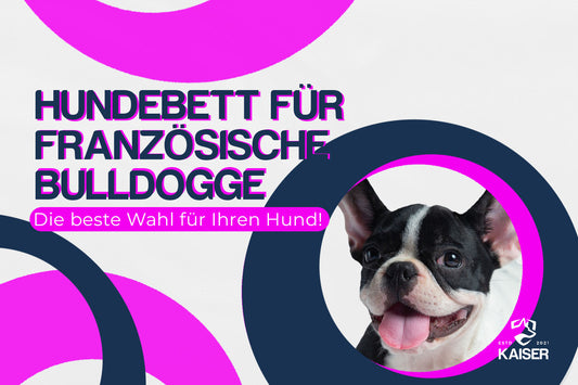 Hundebett Französische Bulldogge