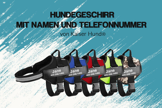 Hundegeschirr mit Namen und Telefonnummer