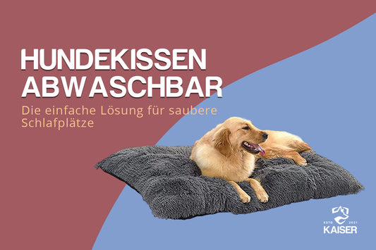 Hundekissen abwaschbar