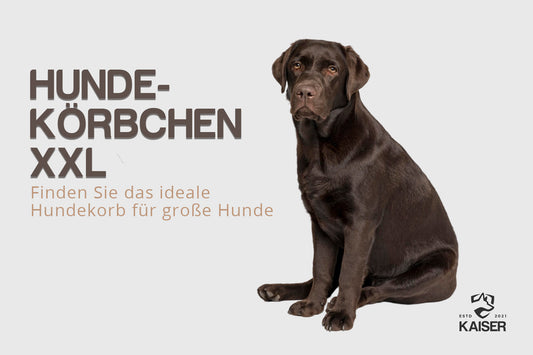 Hundekörbchen XXL