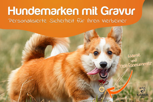 Hundemarken mit Gravur