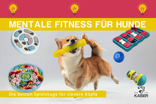 Das beste Hundespielzeug Intelligenz