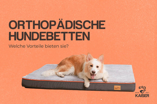 Hundebett orthopädisch