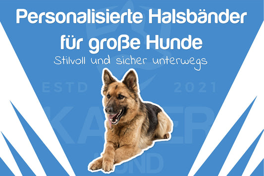 Die besten personalisierte Hundehalsbänder für große Hunde - Artikel von Kaiser Hund®️