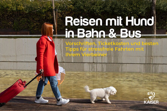 Reisen mit Hund