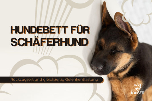 Schäferhund im Bett