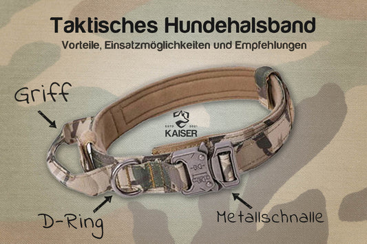 Taktisches Hundehalsband