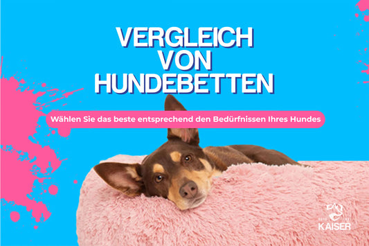 Hundebett Test