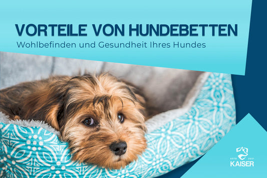Benefit von Hundebetten