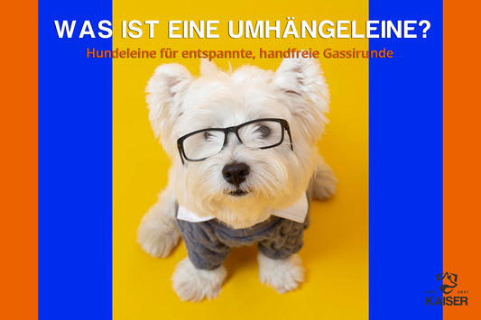 Was ist eine Umhängeleine? - Die vielseitige Leine für aktive Hundebesitzer