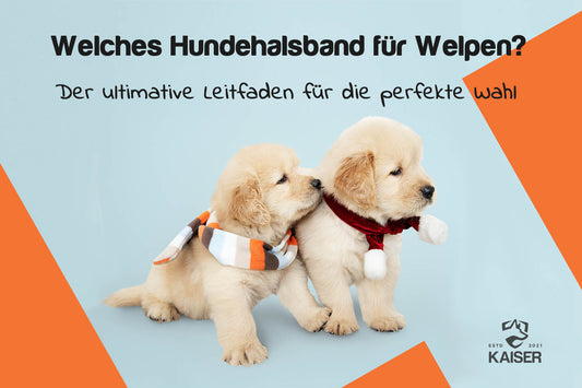 Hundehalsband Welpen